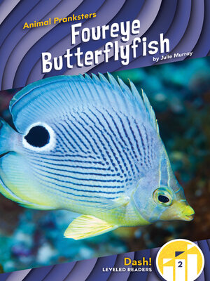 cover image of Foureye Butterflyfish